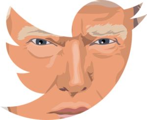 Das Gesicht des US-Präsidenten Donald Trump in Form des Twitter-Logos.